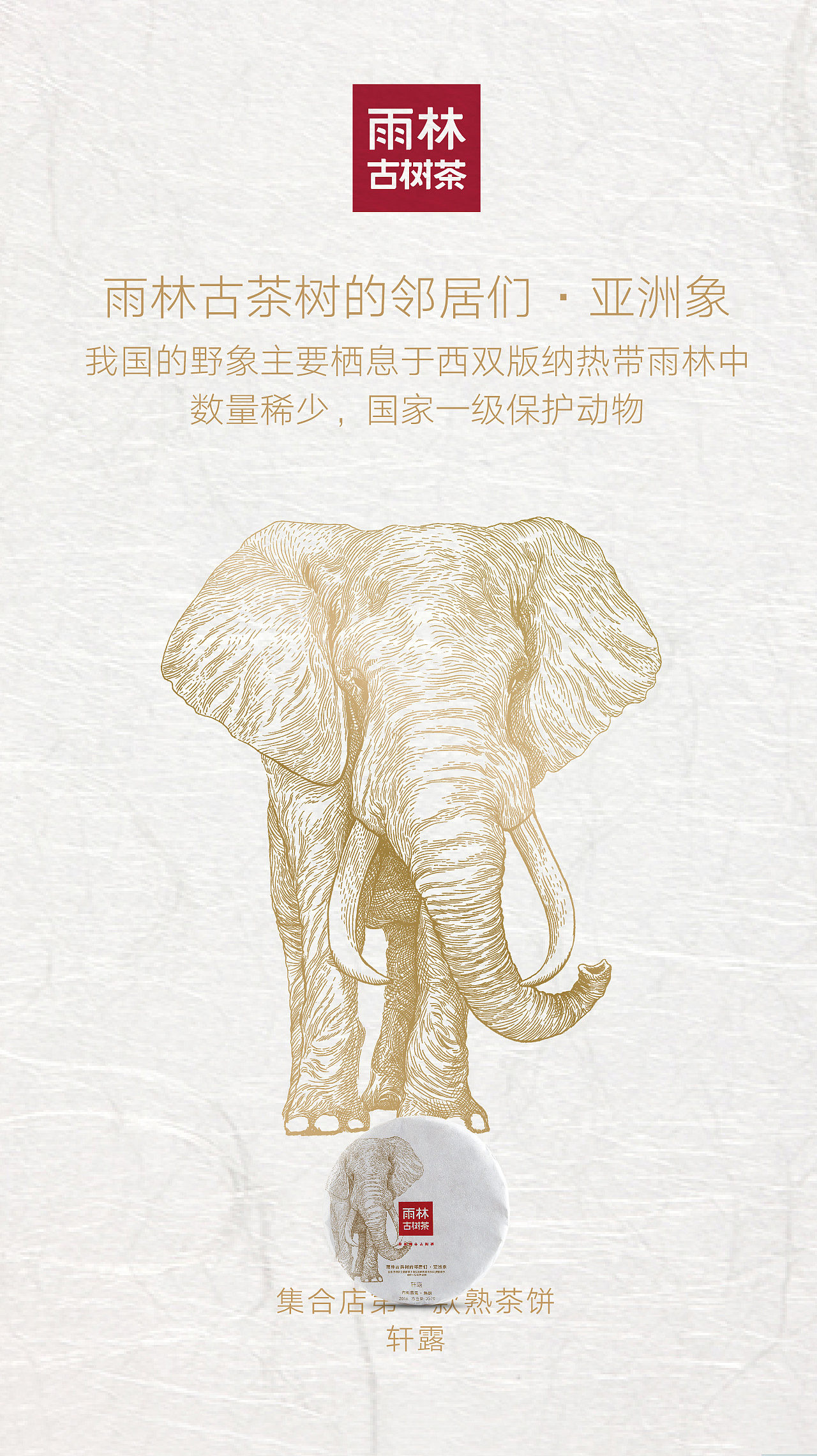 雨林古树茶品牌包装插画(图ZNjMzODExOTI=) - 商业插画 - 站酷设计师秋岭QIULING原创素材 - 站酷ZCOOL