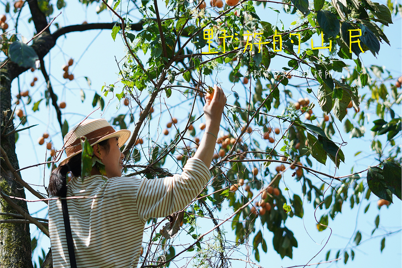 国庆营-野游的山民02