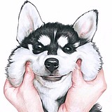天团的头像