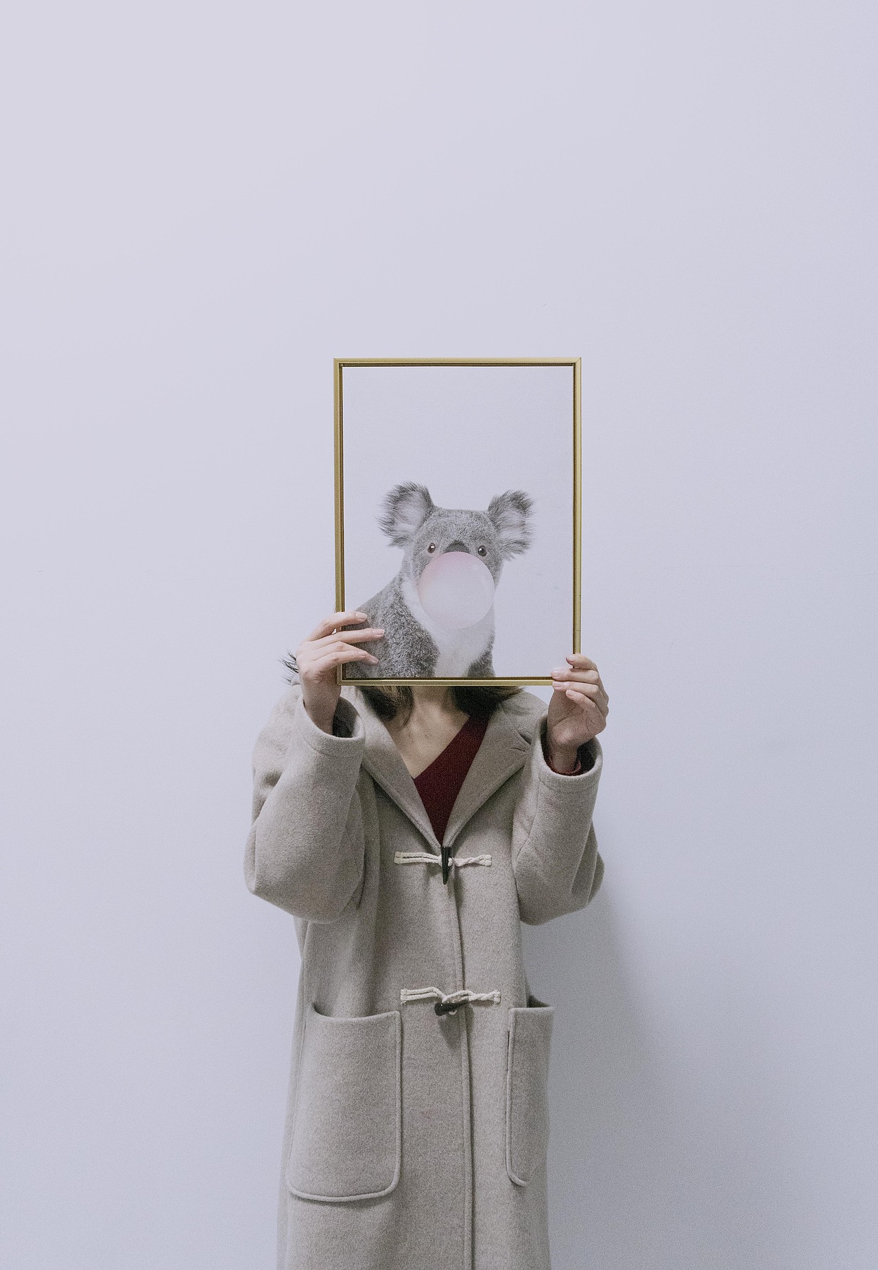 一只酗酒的树袋熊