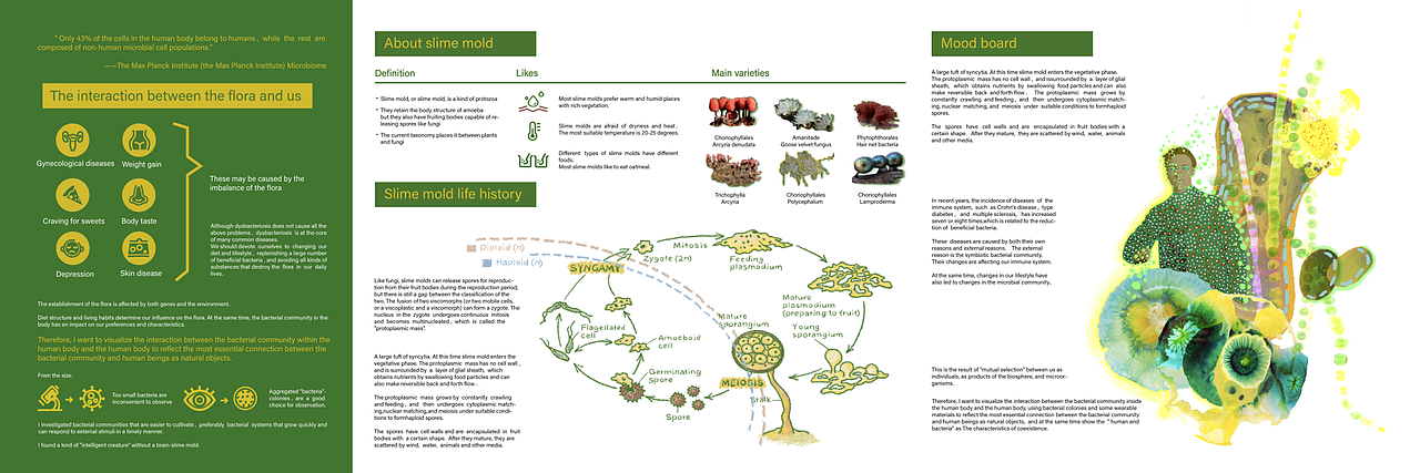 机智的菌类生活（图ZMjk1MDgzNzEy） - 实验艺术 - 站酷设计师阿怡埃蒂原创素材 - 站酷ZCOOL