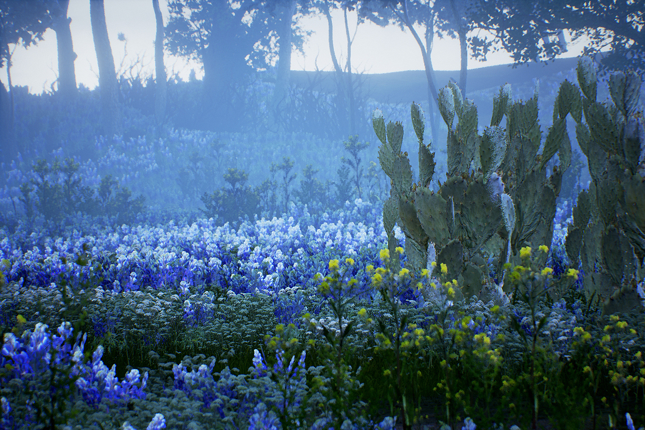 矢车菊（图ZODYzMzYwMjg=） - 场景 - 站酷设计师DigitalClam原创素材 - 站酷ZCOOL