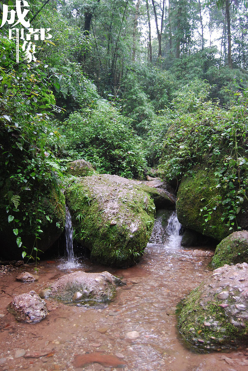 成都印象（2）原创（图ZMjM3MDQ4） - 风光摄影 - 站酷设计师马强原创素材 - 站酷ZCOOL