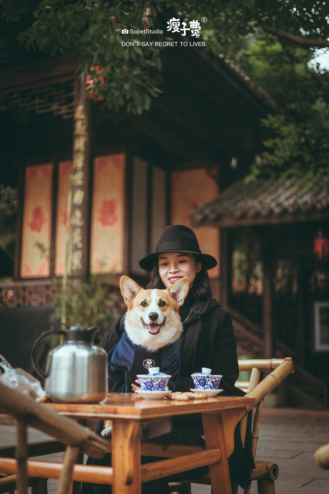 看看熊猫，喝个盖碗茶（图ZMjQ5NDU0MjI0） - 宠物摄影 - 站酷设计师瘦子费原创素材 - 站酷ZCOOL
