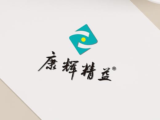 康辉精益眼视光品牌连锁-品牌VIS设计方案