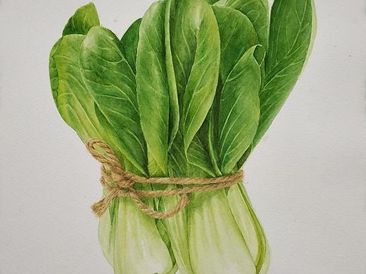 水彩蔬菜（个人主页-ZMzU0NDkwMDQ=） - 绘画 - 站酷设计师阿修罗21原创素材 - 站酷ZCOOL