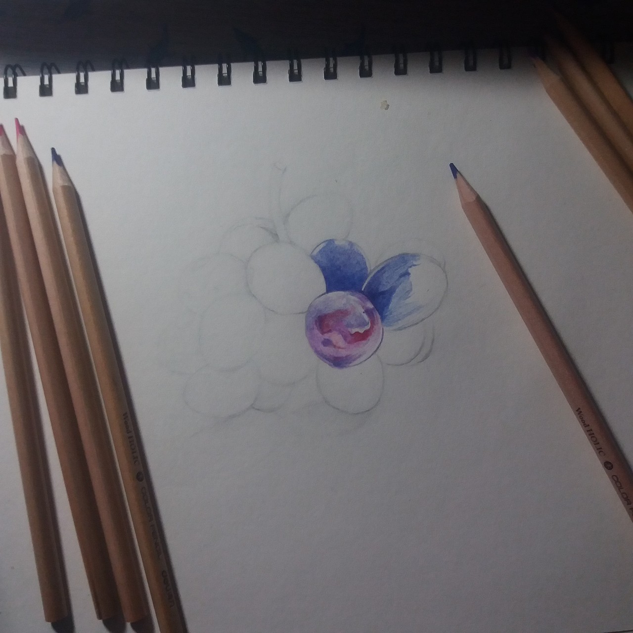 彩铅临摹练习-葡萄