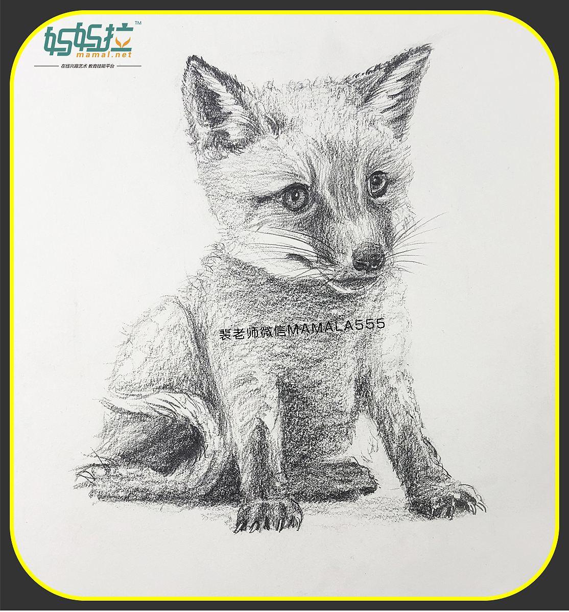 中央美院毕业裴俊飞老师妈妈拉艺术学院速写动物小狐狸