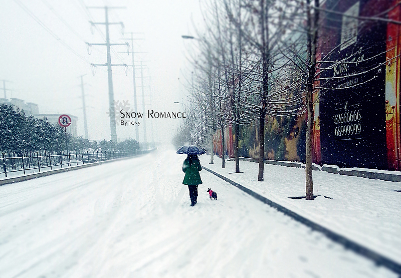 2014.02.06 雪景（图ZMTM5NDExMjA=） - 风光摄影 - 站酷设计师托尼三三原创素材 - 站酷ZCOOL