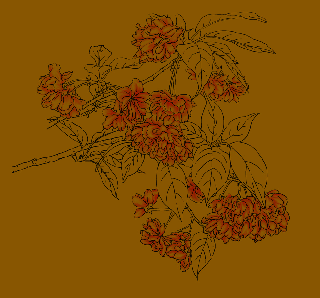 用数位板临摹的花卉