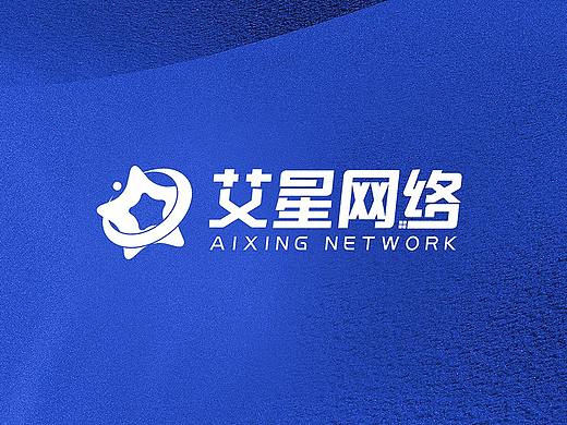 艾星网络科技