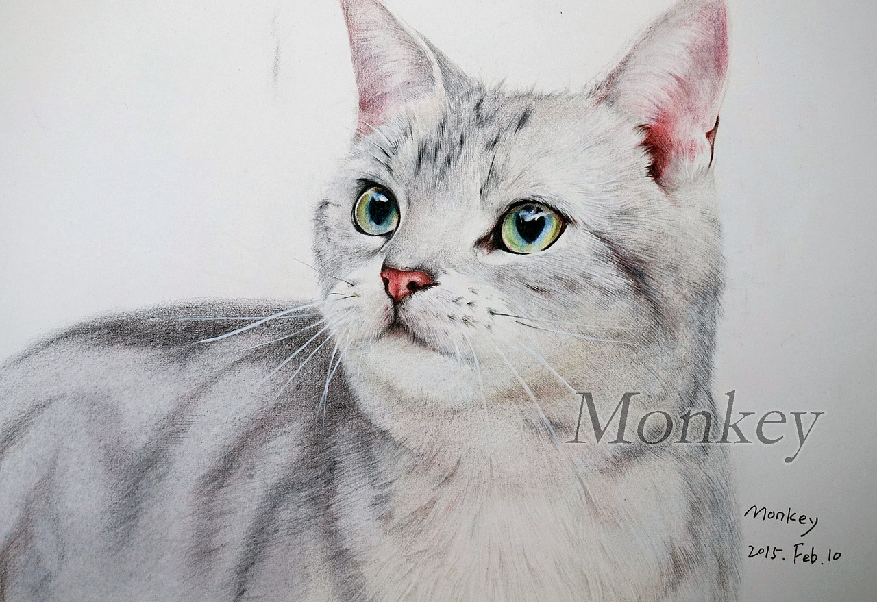 分享收藏《笑猫和马小跳》系列童书插画《笑猫和马小跳》系列图书插画