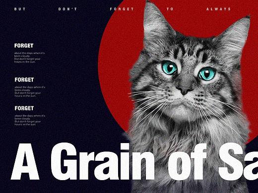 网页首图/banner（个人主页-ZMzczNTQ4MzY=） - 运营设计 - 站酷设计师唐玉2022原创素材 - 站酷ZCOOL