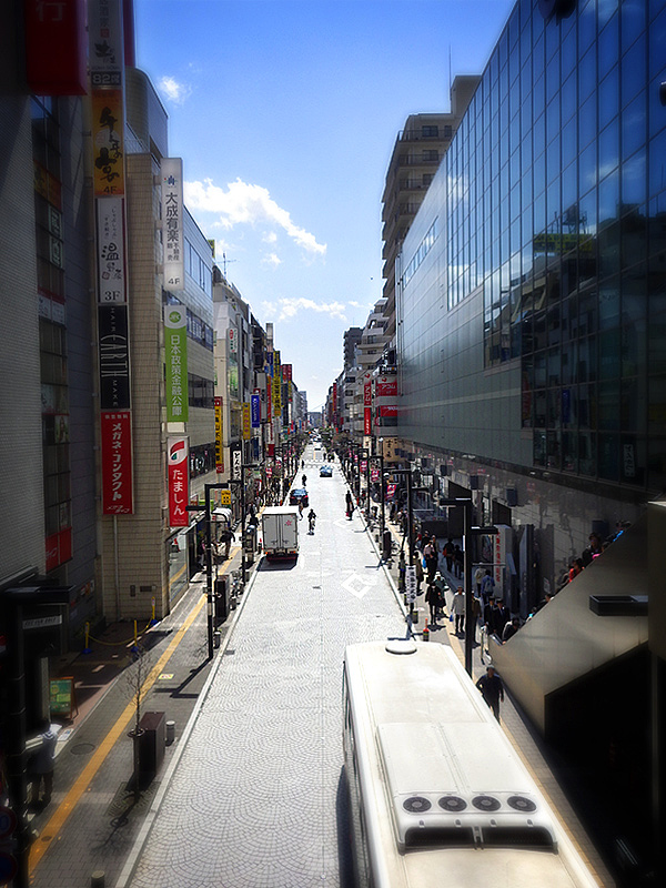 2014日本賞櫻之旅