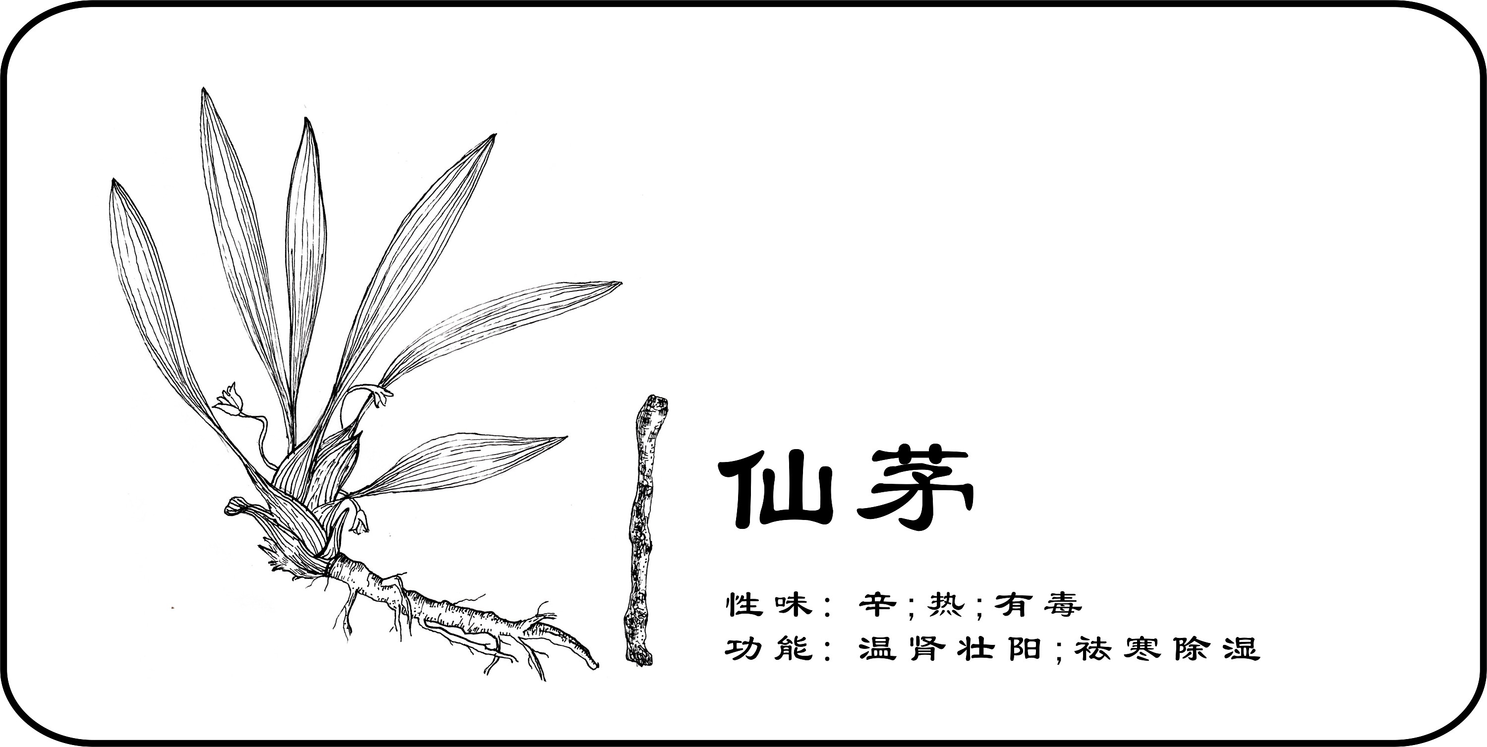 中草药手绘标示