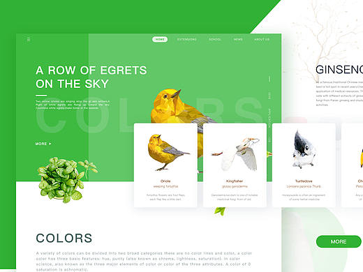 网页设计 Dream bird Web Design