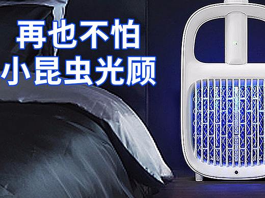 有了它，有小昆虫光顾也不用愁了~