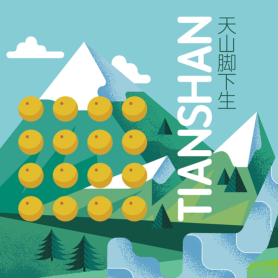 DESIGN-V | 天山小米张硕黄包装升级（图ZMTkyMTY4OTc2） - 包装 - 站酷设计师湍流东西原创素材 - 站酷ZCOOL