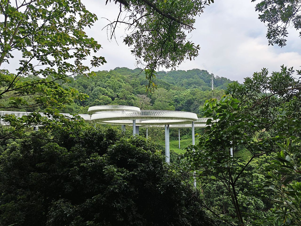 深圳虹桥公园