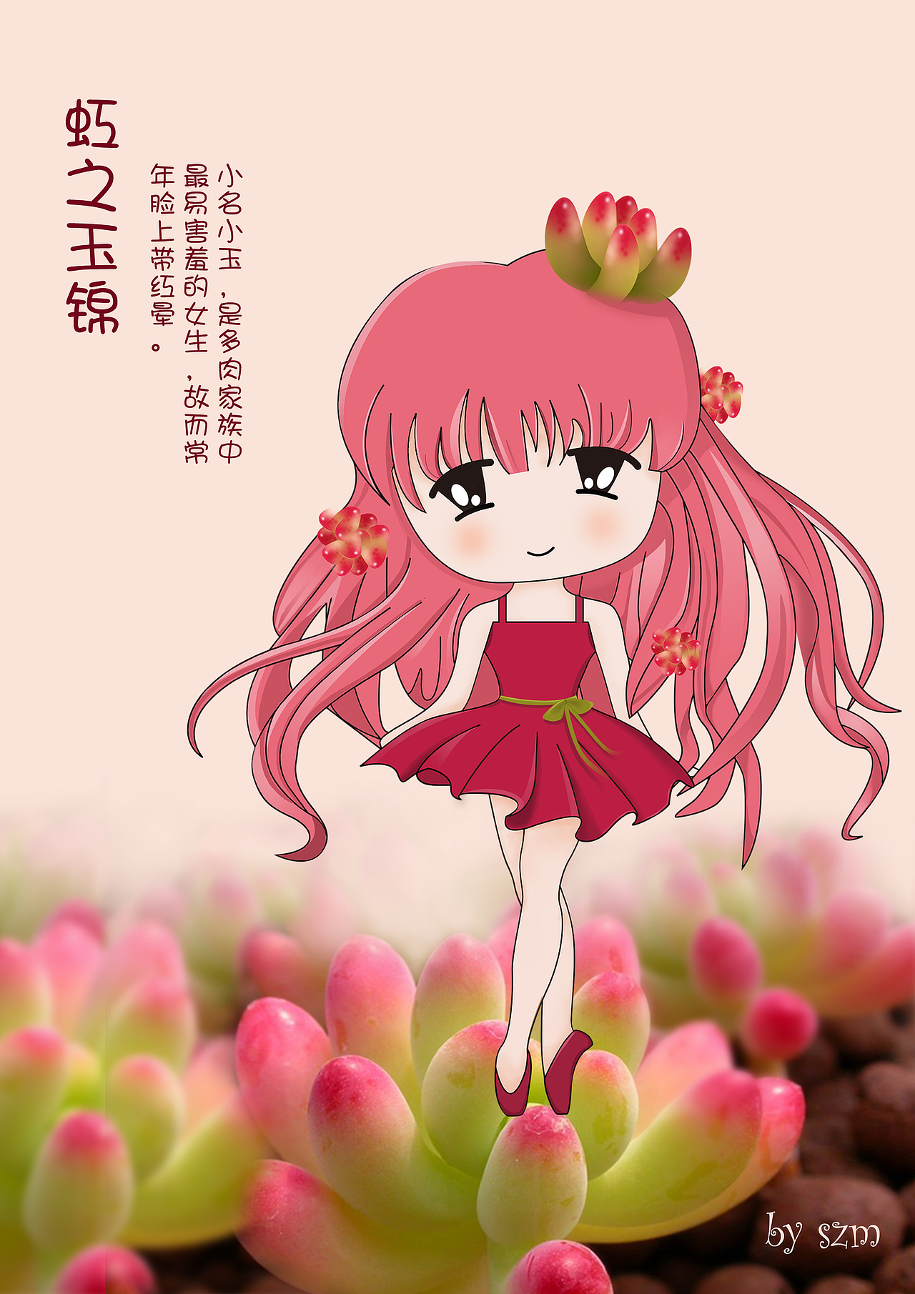 多肉精灵之小玉