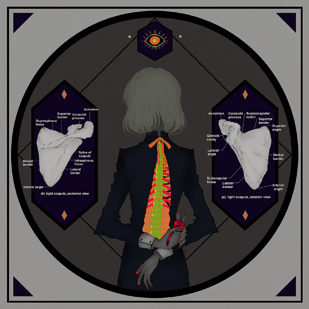 《无题》肩胛骨