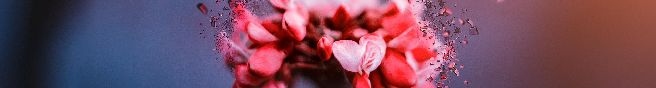 wuyongjian的个人主页（封面预览） - 主页封面设置 - 站酷设计师wuyongjian原创素材 - 站酷ZCOOL