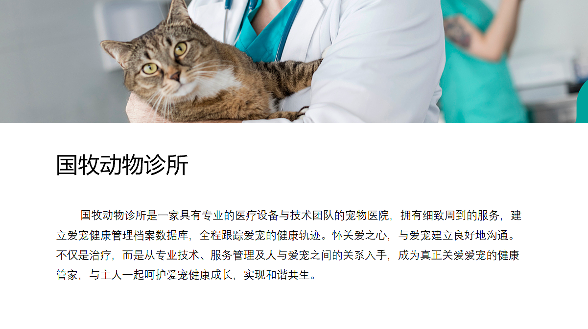 宠物医院logo设计--已商用（图ZMjYxNzgyMjg0） - Logo - 站酷设计师Carakwan_原创素材 - 站酷ZCOOL