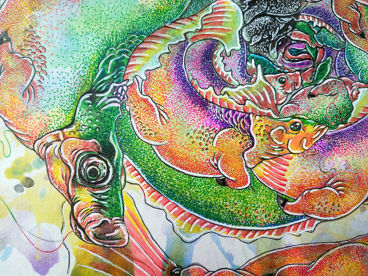 山海经异兽系列之䱤父鱼