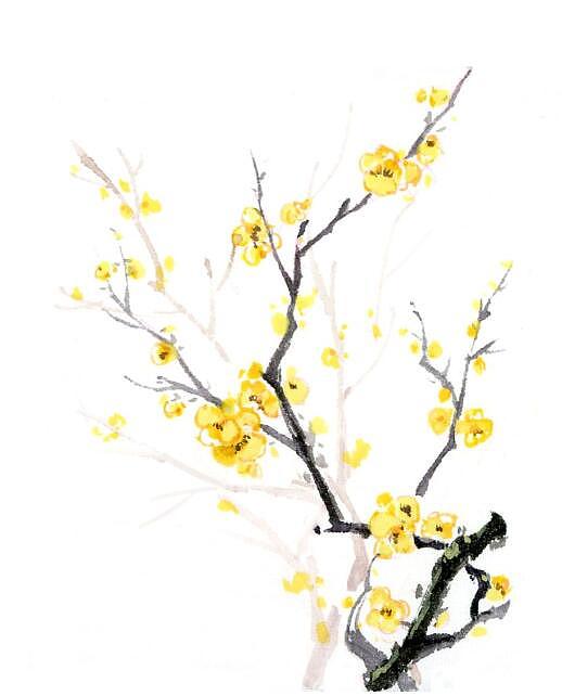 古风素材（图ZMTQ3ODAwMDIw） - 商业插画 - 站酷设计师鸿飛插画原创素材 - 站酷ZCOOL