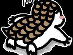 穿山假宝宝的可爱表情包