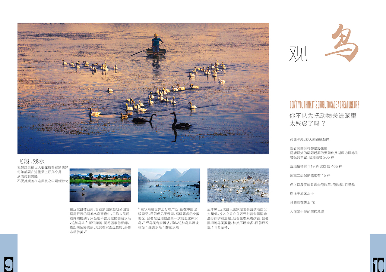 版式设计#普者黑宣传手册排版练习（图ZMTYxNDc4MTA4） - 书籍/画册 - 站酷设计师暂无介燒原创素材 - 站酷ZCOOL