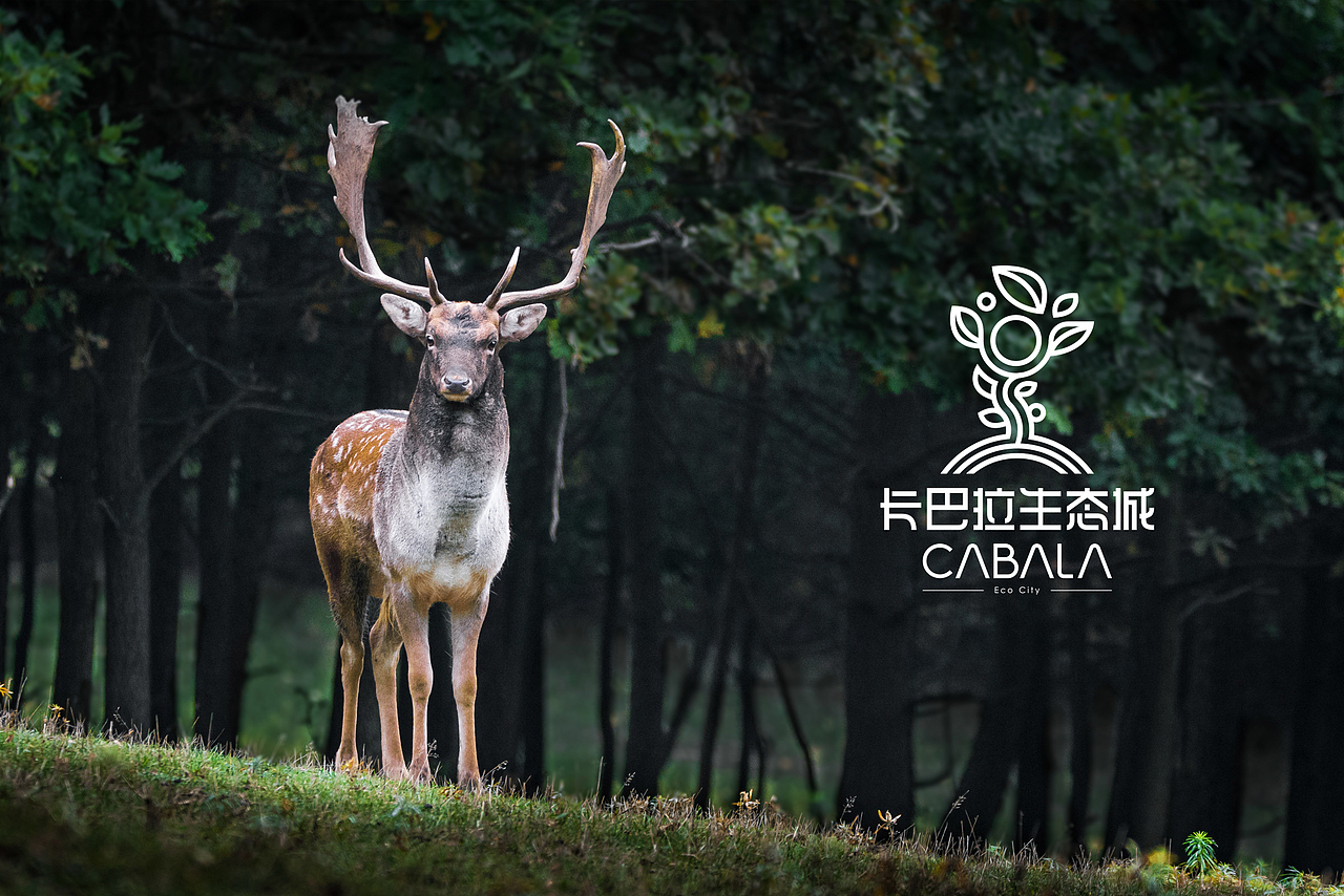 重庆四面山“CABALA”卡巴拉生态城VIS