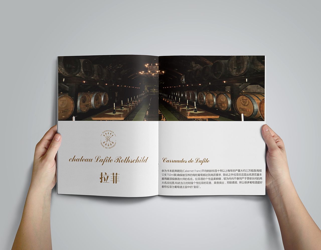 画册（图ZMzY3NzA5NDky） - 书籍/画册 - 站酷设计师孤小单原创素材 - 站酷ZCOOL