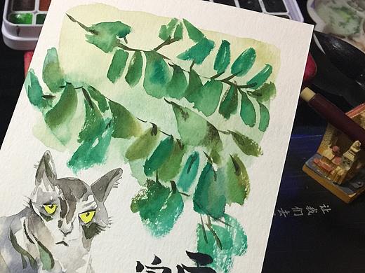 雨天画猫