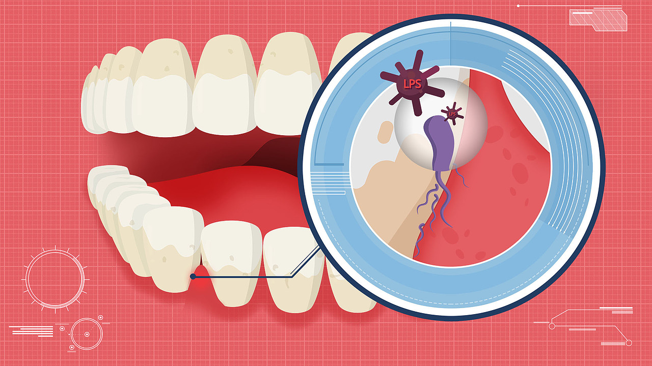 动画便利店_《牙齿科学》