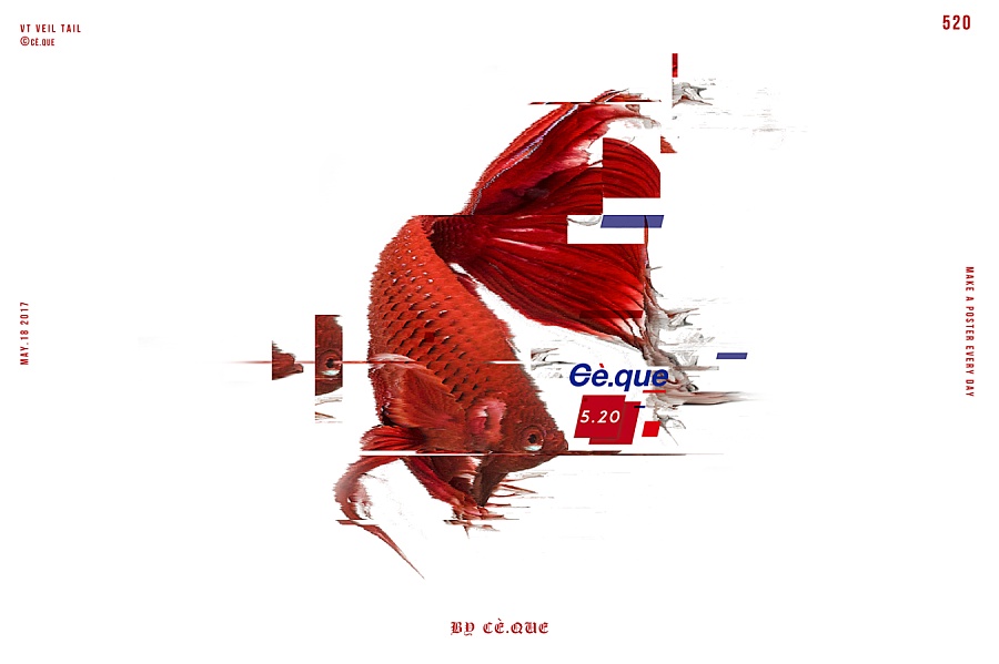 暹罗斗鱼520海报