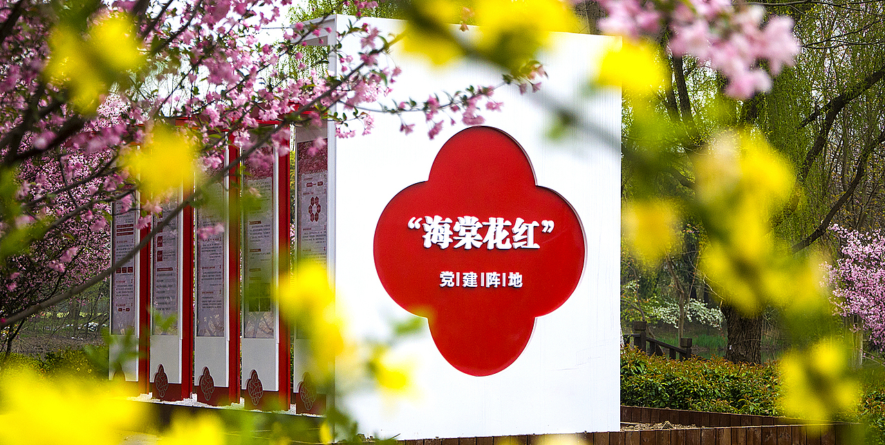 海棠花红映初心