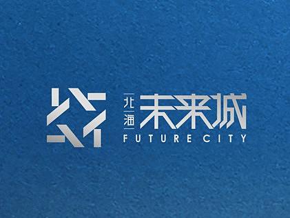 未来城-提案