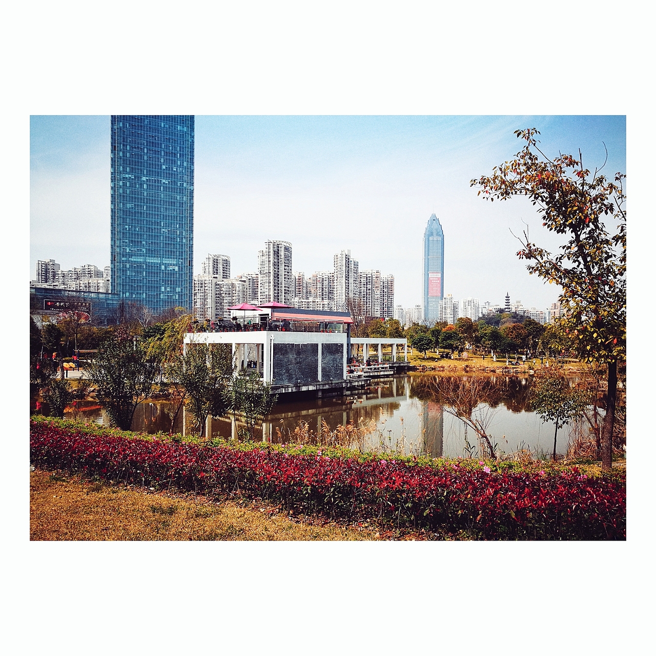 心情随拍。无题之作。（图ZNzU1NTI1MzI=） - 其他摄影 - 站酷设计师雨灵原创素材 - 站酷ZCOOL