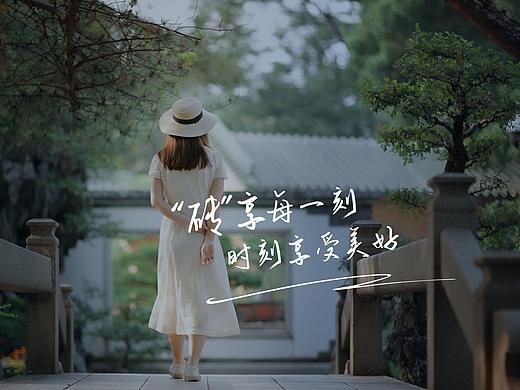 夏日清新普洱茶广告片