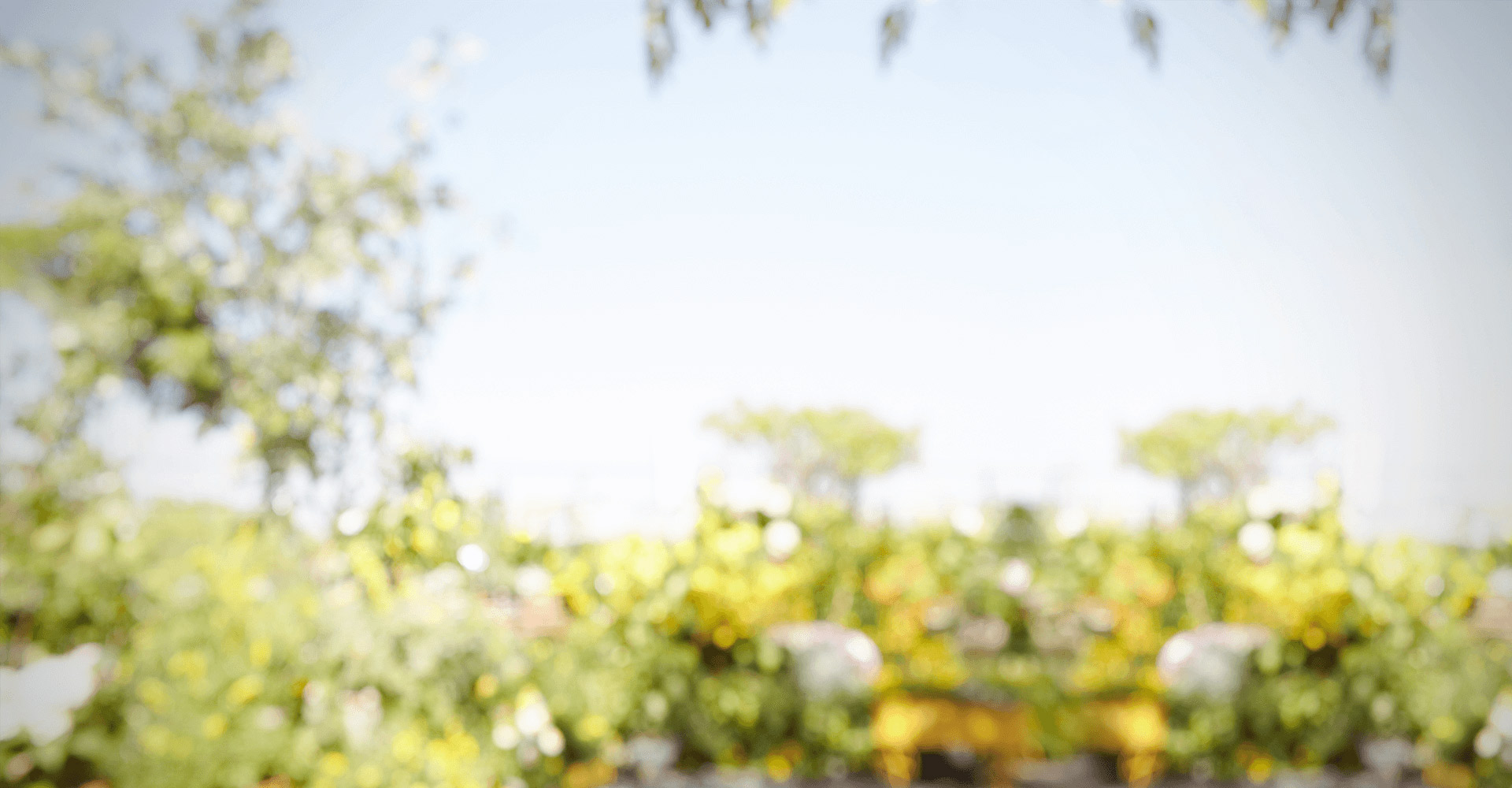 戴上发卡的小仙女的个人主页（背景预览） - 主页背景设置 - 站酷设计师戴上发卡的小仙女原创素材 - 站酷ZCOOL