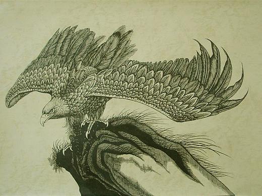 我画的【百鸟绘】之一（个人主页-ZNDg1OTkzMDg=） - 绘画 - 站酷设计师6黄柱成9原创素材 - 站酷ZCOOL