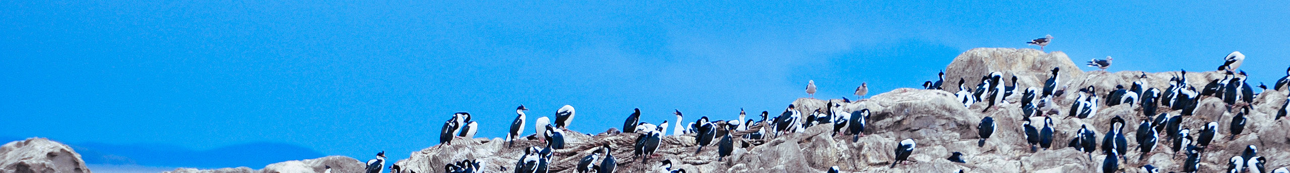 嘉禧的个人主页（封面预览） - 主页封面设置 - 站酷设计师嘉禧原创素材 - 站酷ZCOOL