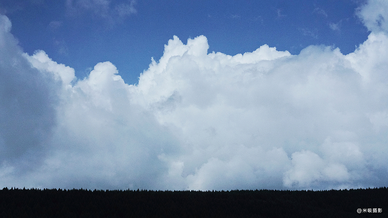 白云聚集在一起
树林排列得那么整齐