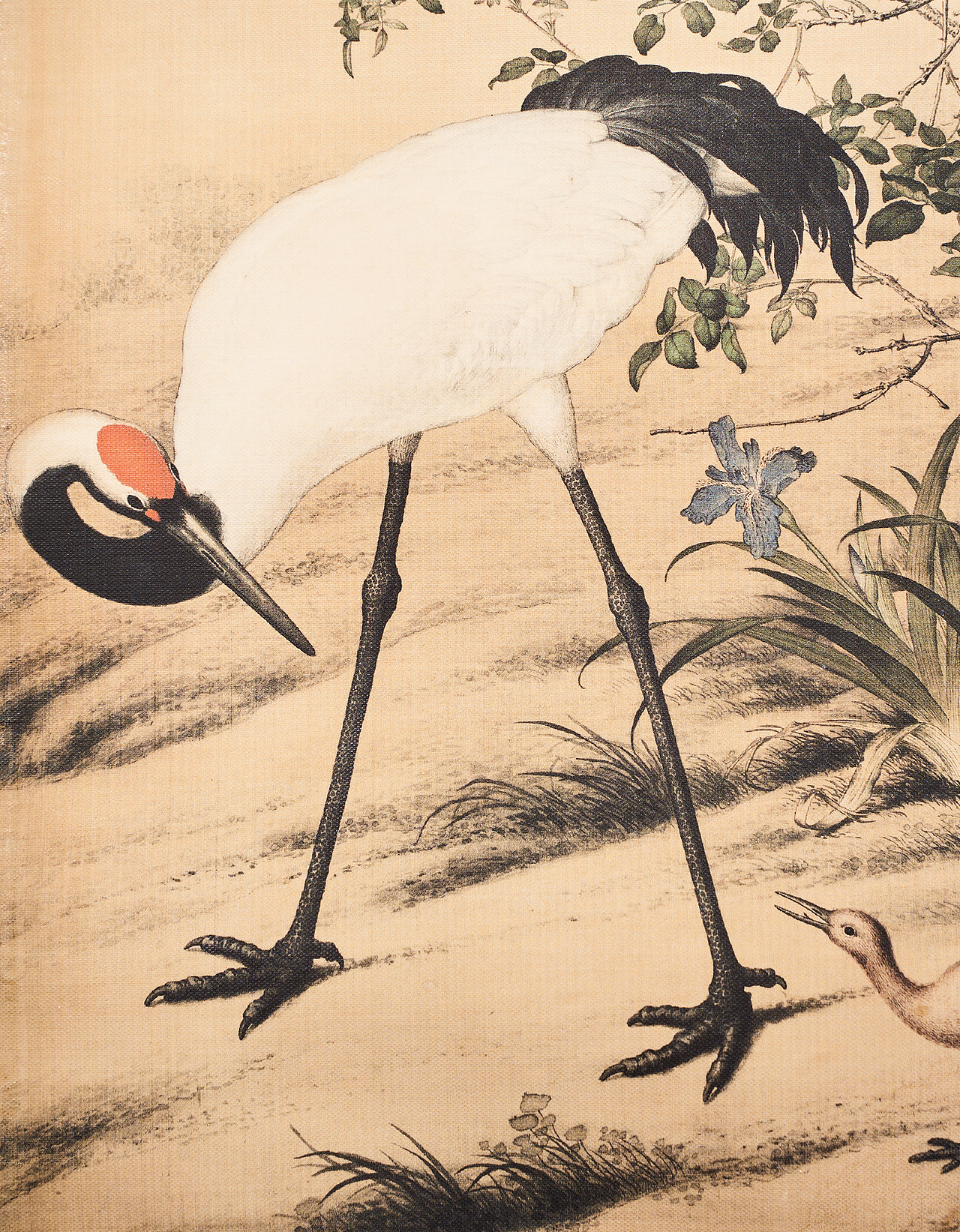 郎世宁《花荫双鹤图》(复制品)拍摄,整图及局部。（图ZMTM3NzY2NzEy） - 产品摄影 - 站酷设计师看见想象原创素材 - 站酷ZCOOL