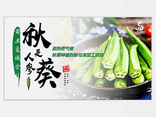 龙腾农场创业大赛项目路演PPT