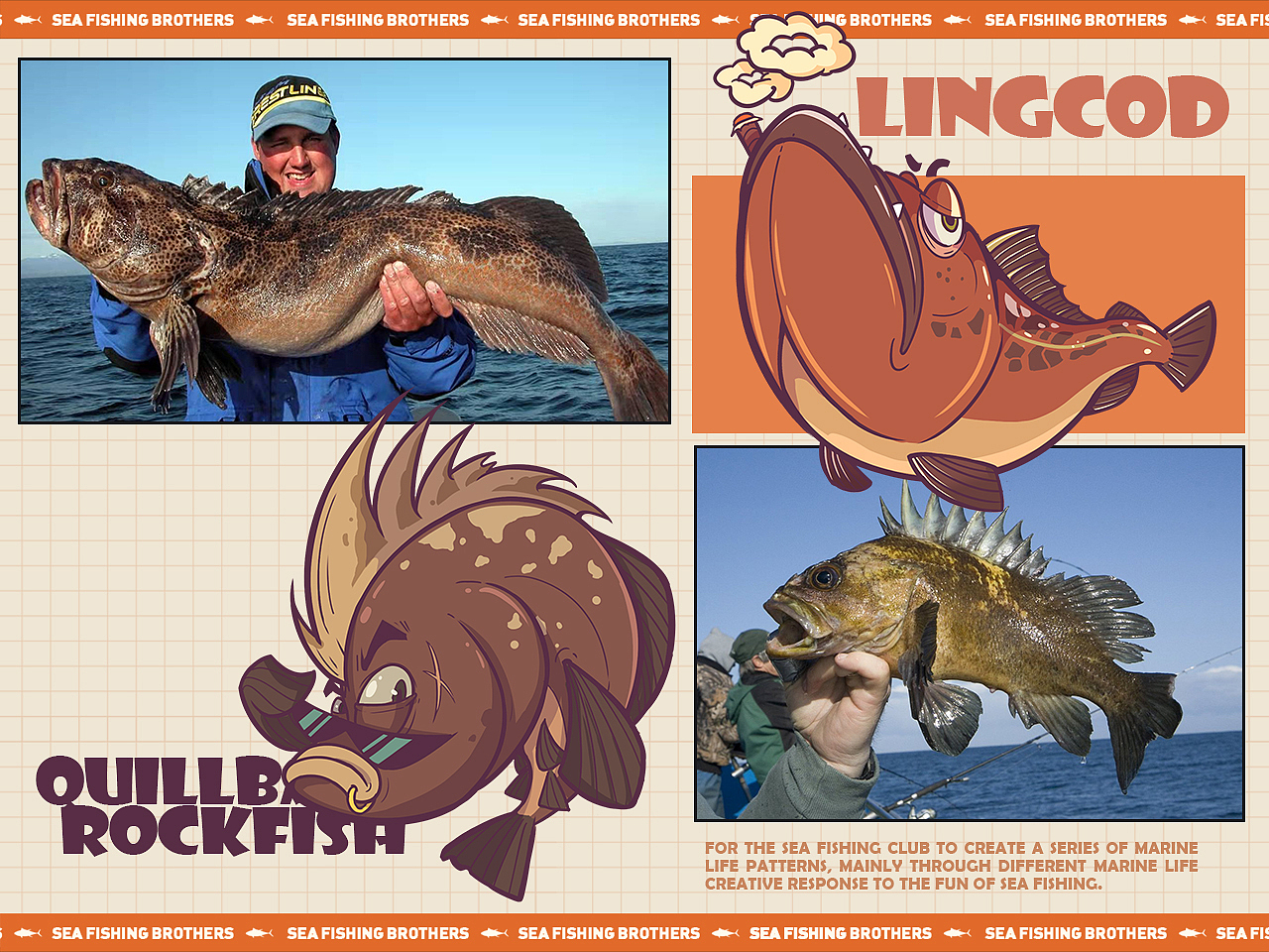 和海钓兄弟合作的“鱼”插画