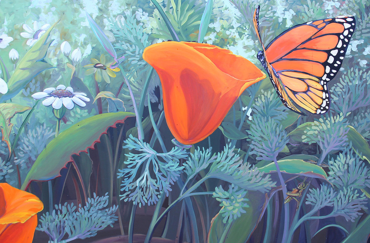 蝴蝶梦|摄影|其他摄影|郑州引力墙绘_原创作品-站酷zcool