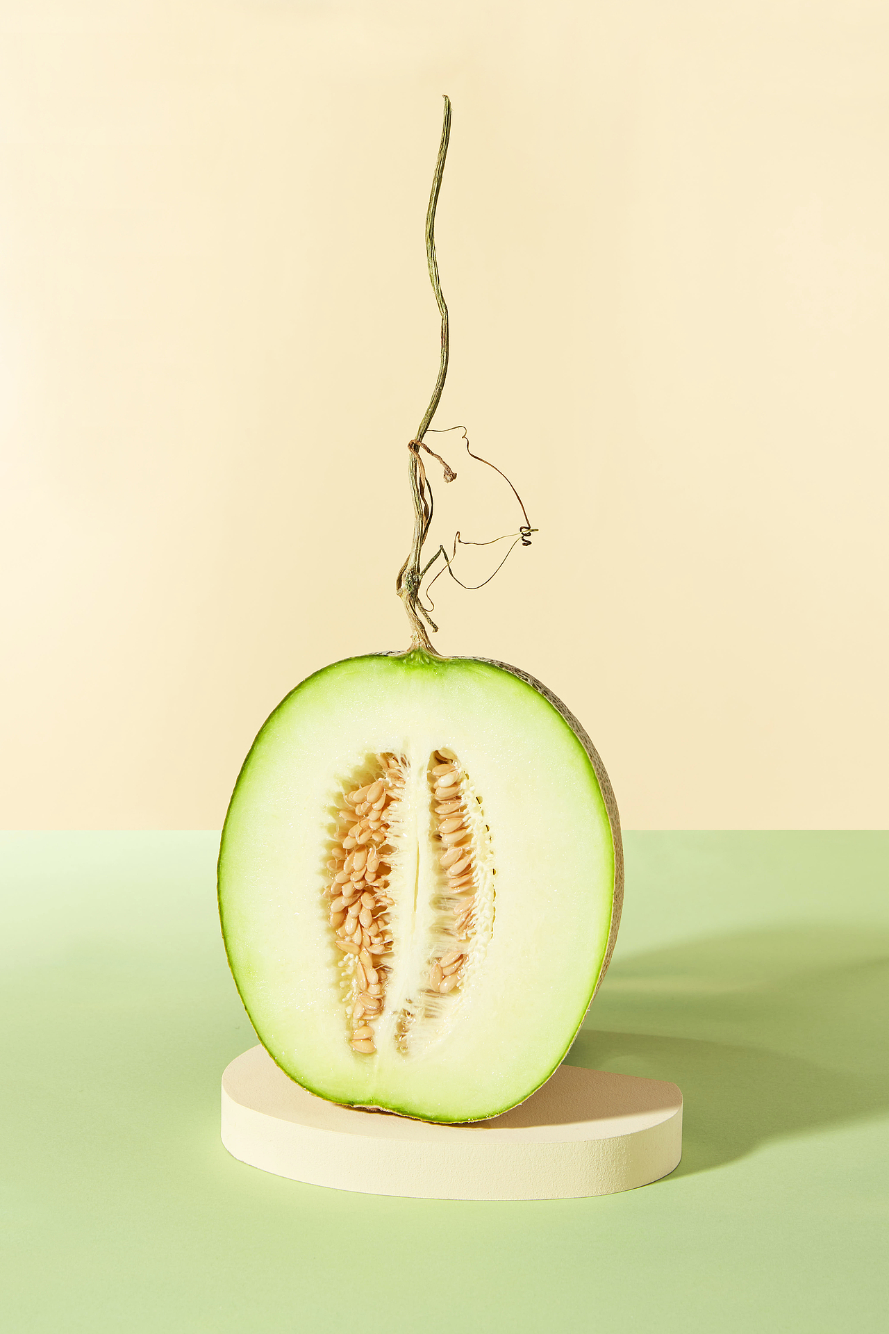 饮品摄影｜椿风茶饮 夏日清凉饮品（图ZMjU3NzkyODgw） - 产品摄影 - 站酷设计师卤咸RUN原创素材 - 站酷ZCOOL