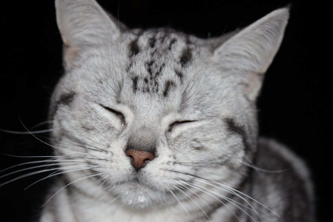 刚舒服地喝完水就被我的闪光灯闪瞎了